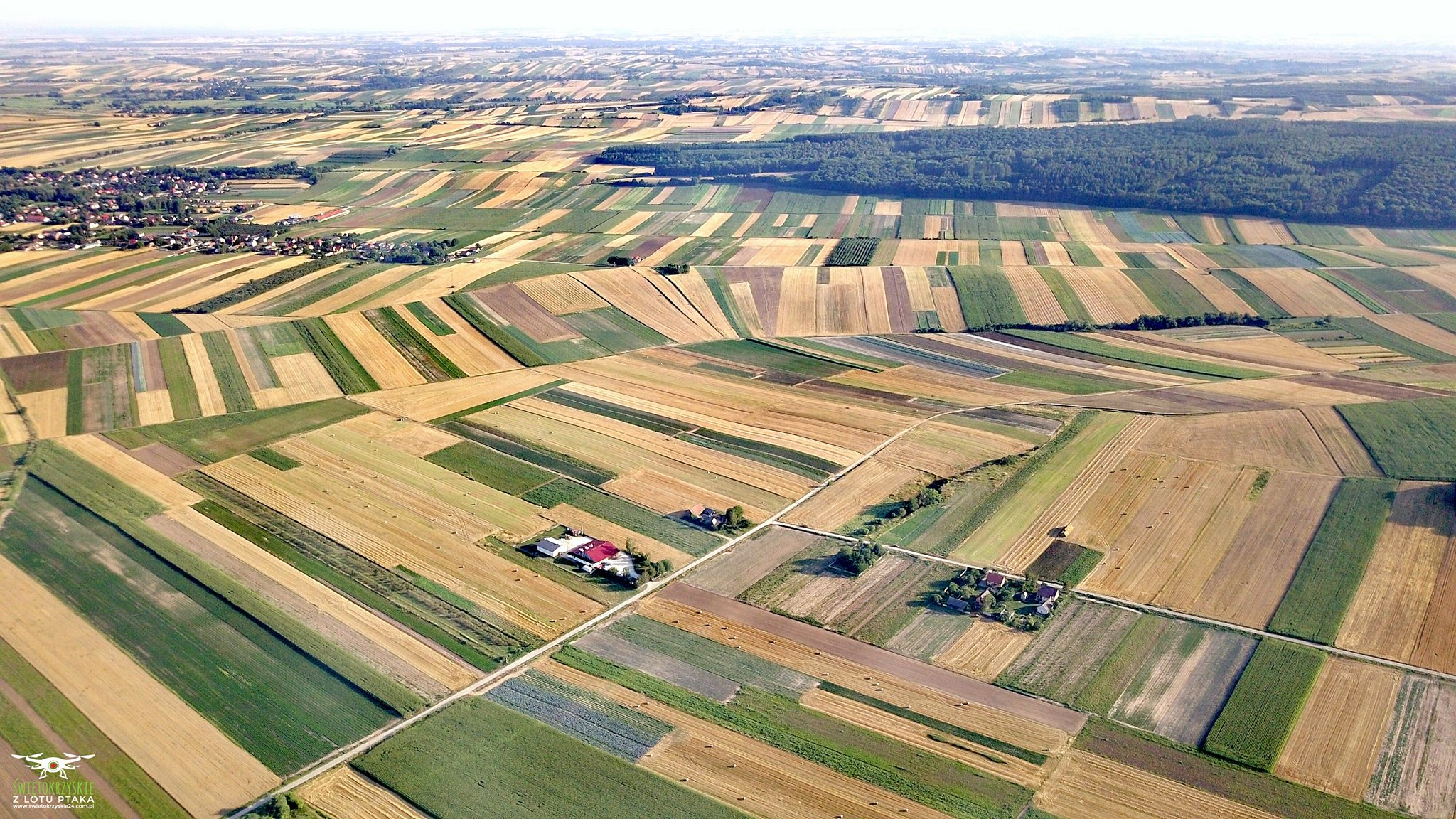 مصنع AGROPOLE – الخضروات المجففة، الأعشاب، التوابل